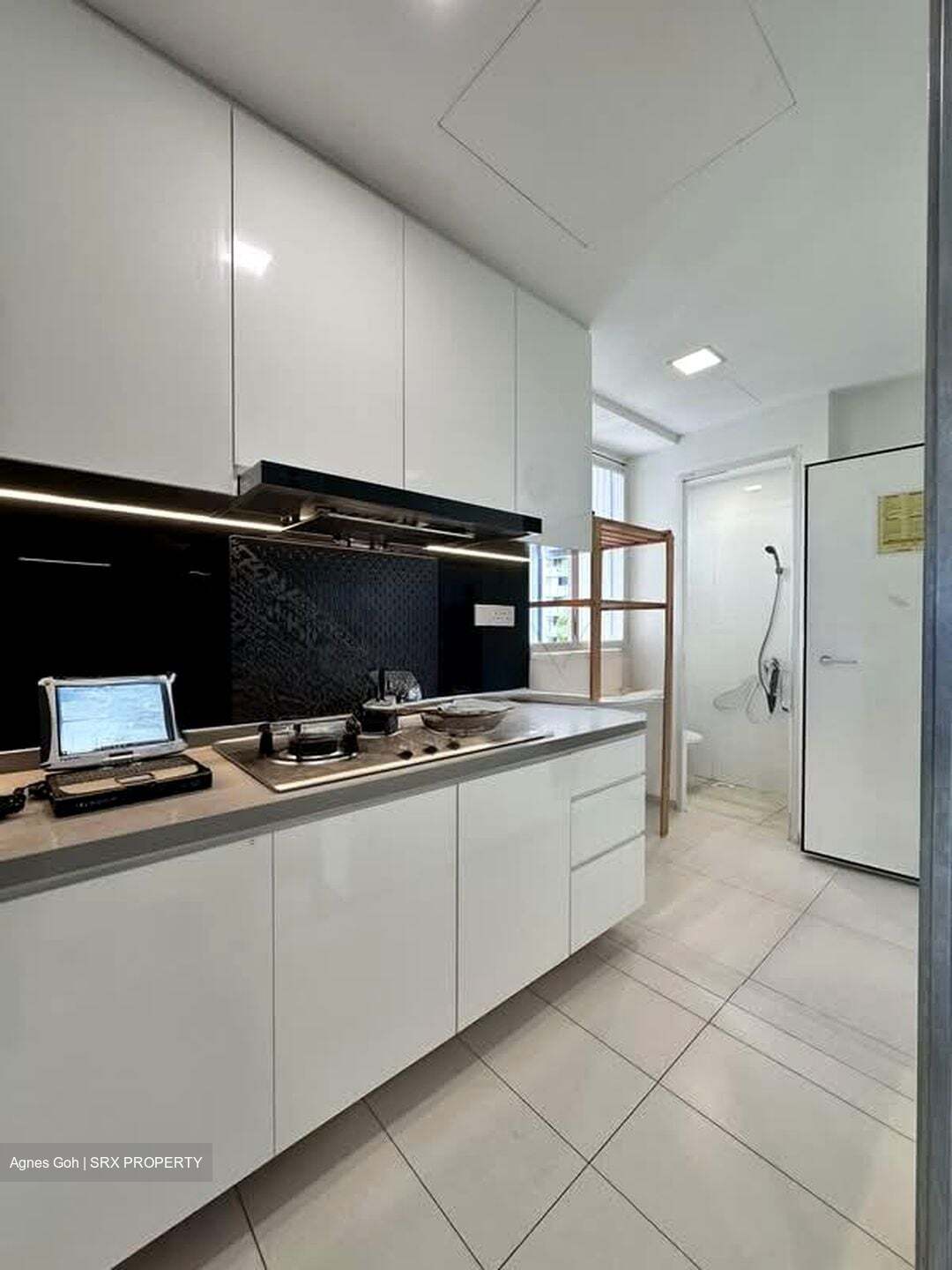Vista Residences (D12), Condominium #576985871
